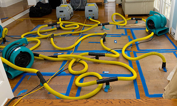 Professional Water Damage Repair technician working in Groom, TX